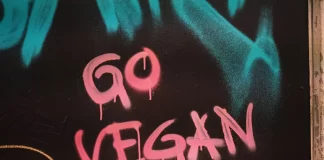 Nejlepší rostlinné kuřecí nugety, které byste měli vyzkoušet