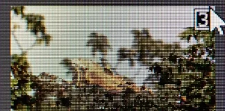 Jaký je rozdíl mezi JPG a JPEG