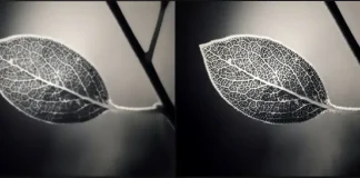 Jaké je nastavení ostrosti na TV