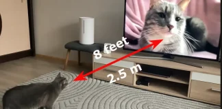 Pozorovací vzdálenost 65palcového televizoru